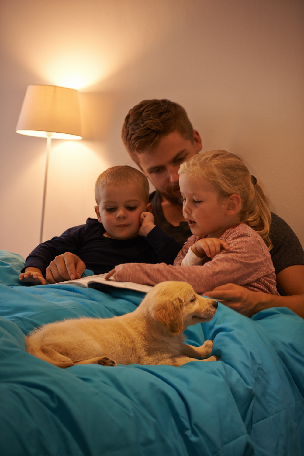 Siblings Sharing a Room: Tips for a Smooth Transition — Hey, Sleepy Baby